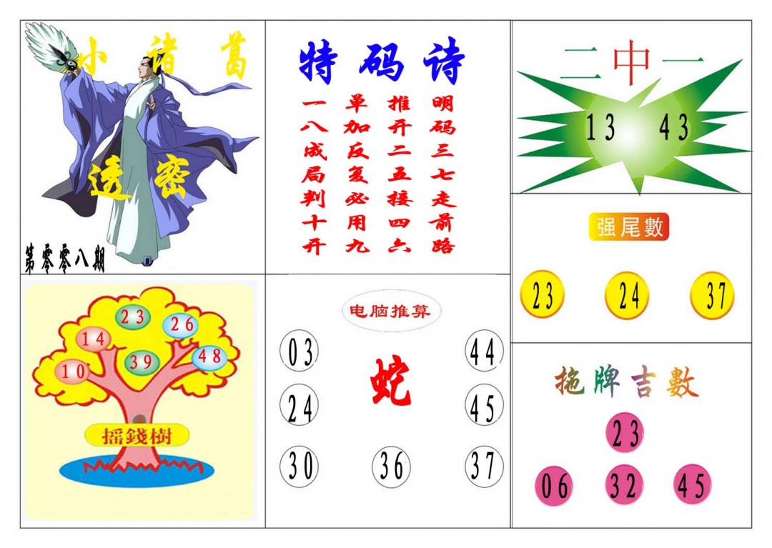 008期小诸葛[图]