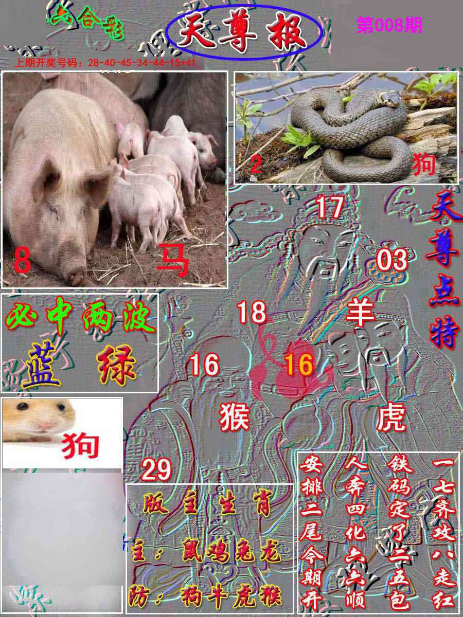 008期天尊报[图]