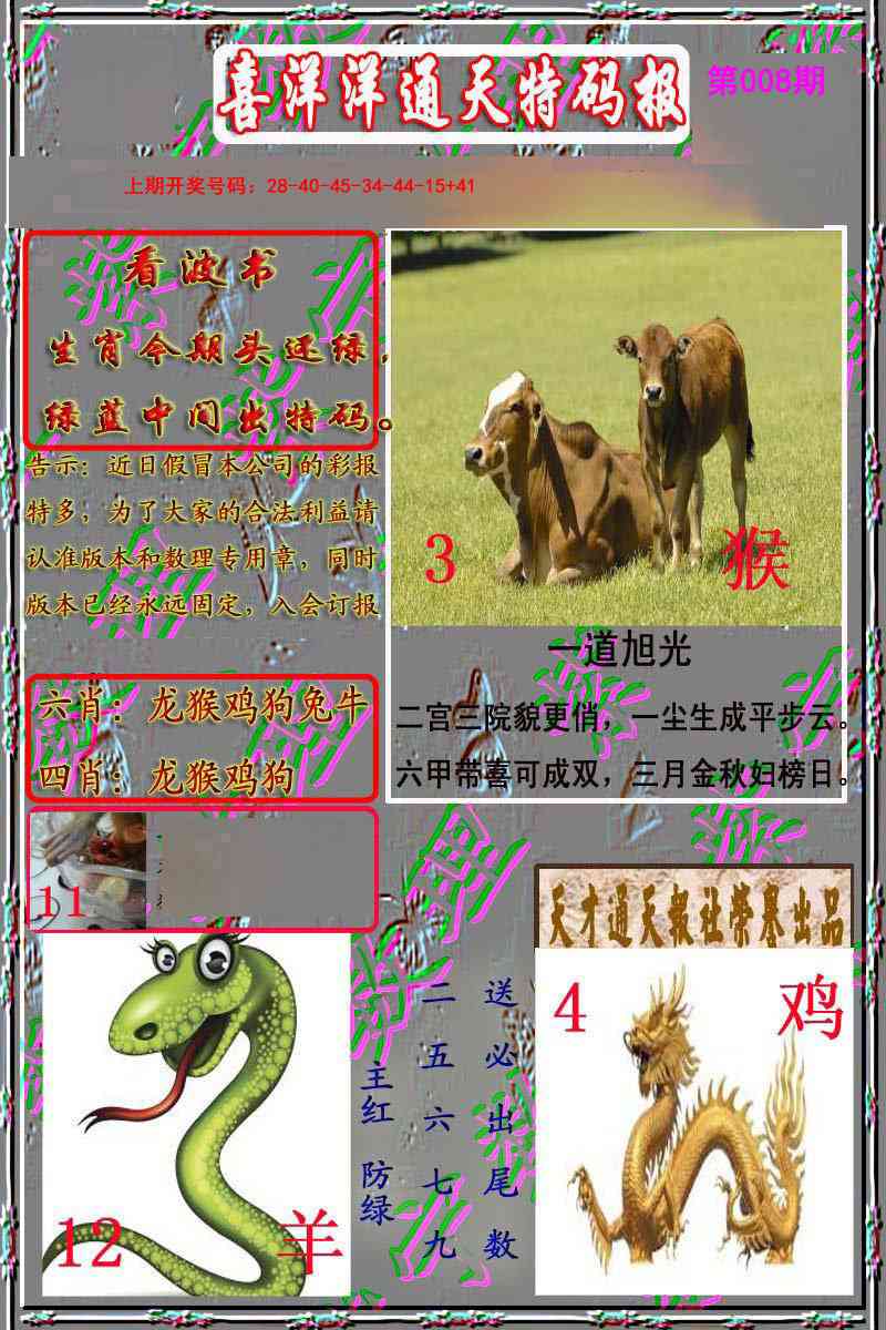 008期洋通报[图]