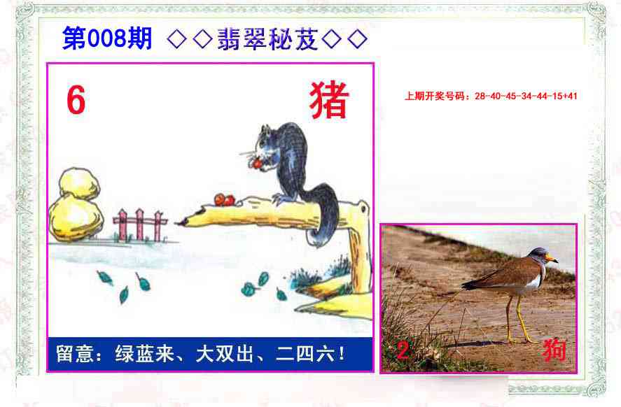 008期翡翠报[图]