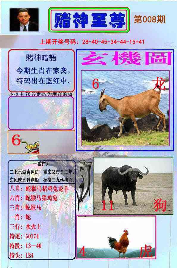 008期赌神至尊[图]