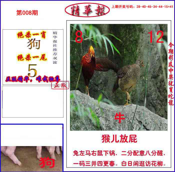008期新精华报报[图]