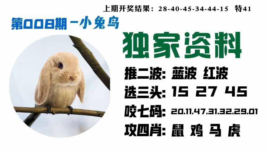 008期小兔鸟[图]